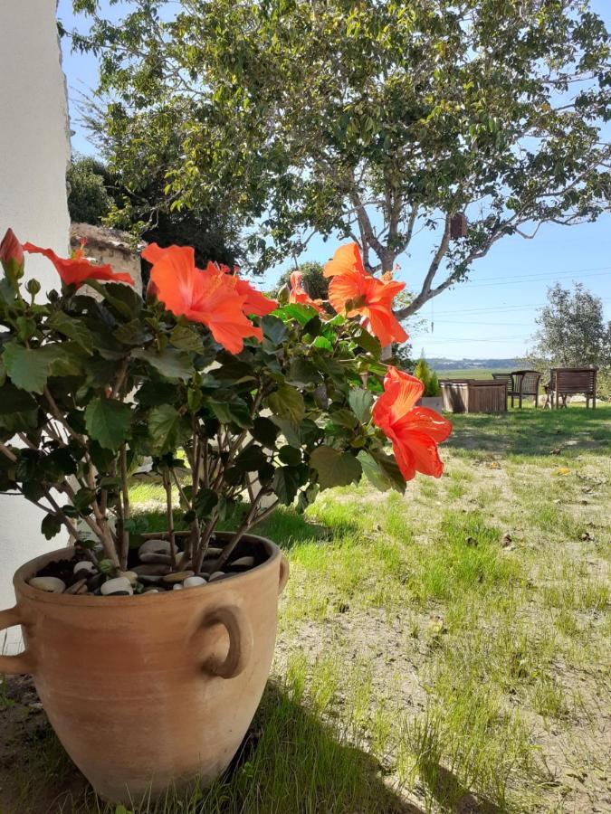 ***** Quinta Do Por Do Sol ***** Apartment Фигейра да Фош Екстериор снимка